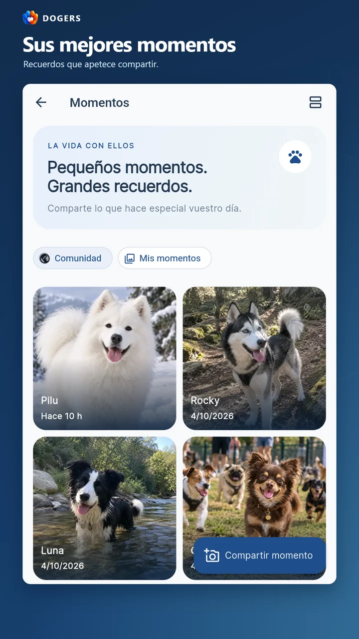 Fotografías de perros compartidas en la comunidad.